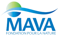 MAVA Foundation