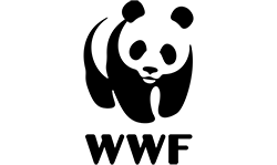 WWF